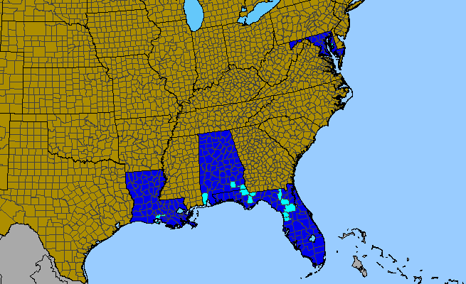 The range of Pteris cretica